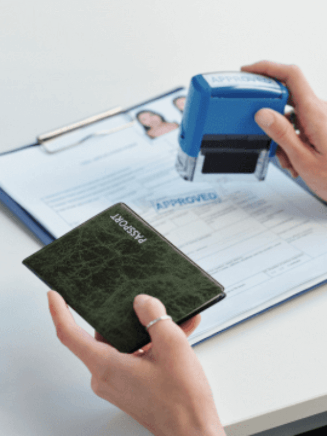 Amer’s VIP Visa Assistance